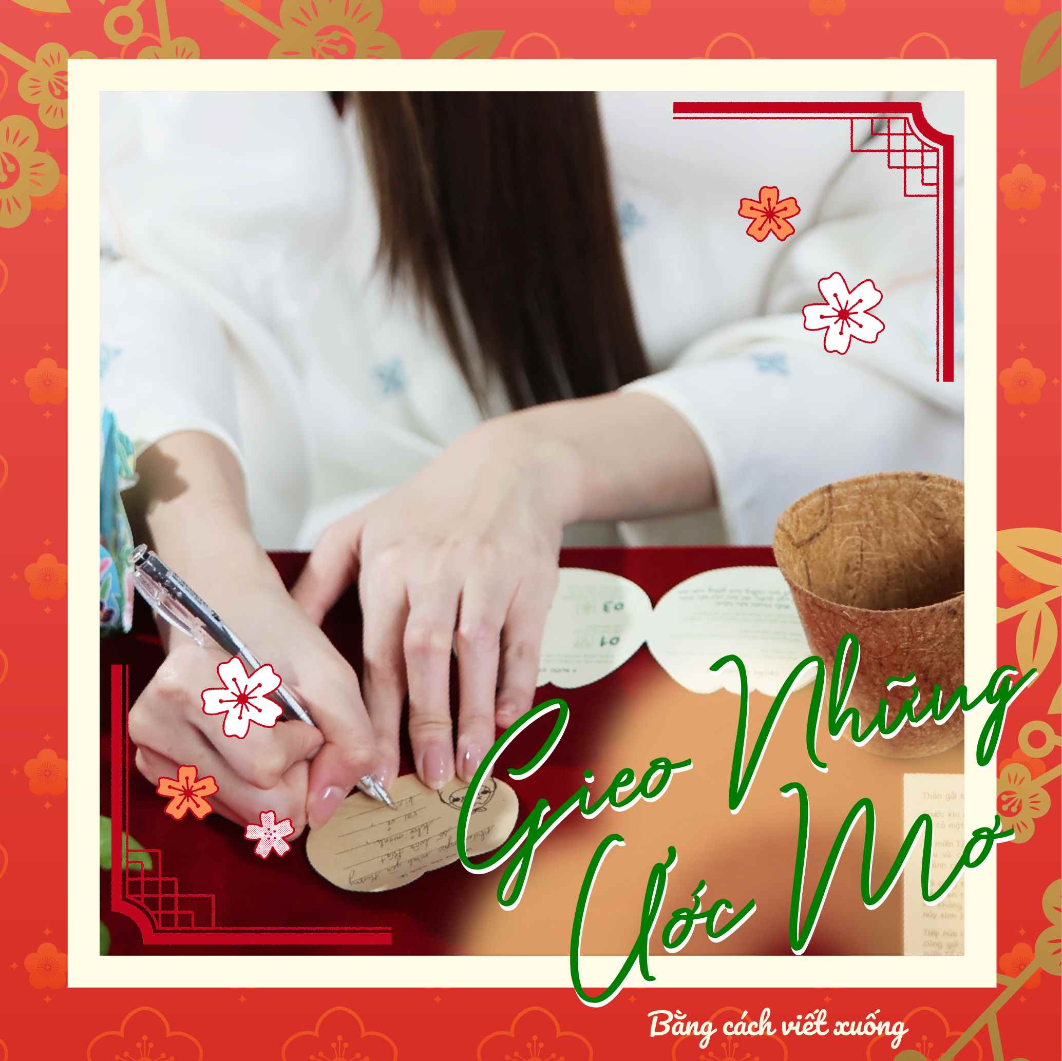 Lì xì Hạt giống: Cẩm nang "Gieo xuân" của Hoa hậu Bảo Ngọc 9