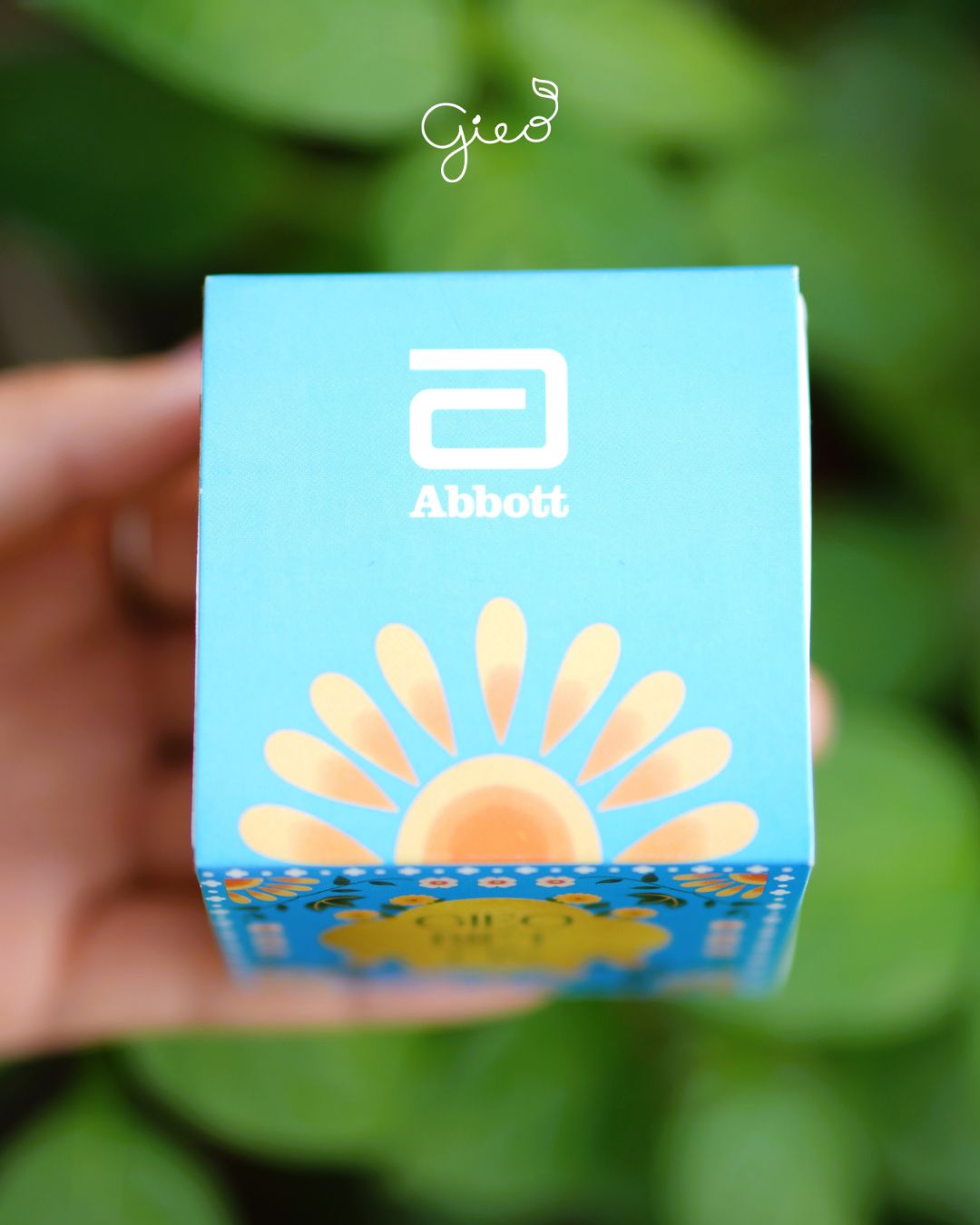 Bộ kit Trồng cây Abbott và Hành trình "Gieo biết ơn" dịp Quốc tế Phụ nữ 8/3 2