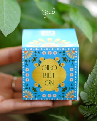 Bộ kit Trồng cây Abbott và Hành trình "Gieo biết ơn" dịp Quốc tế Phụ nữ 8/3 9