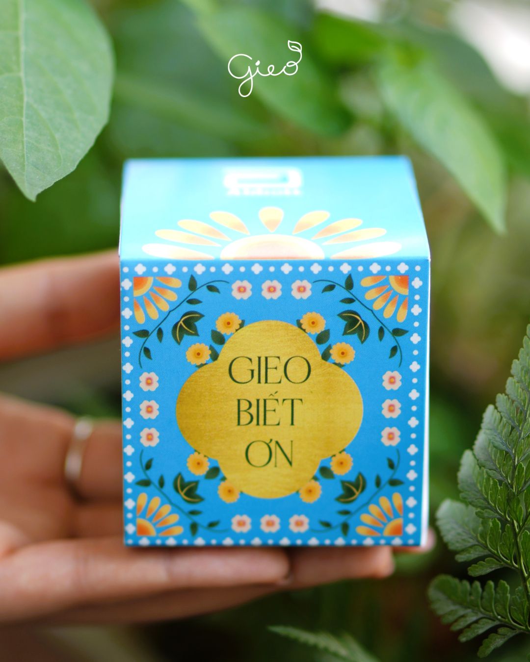 Bộ kit Trồng cây Abbott và Hành trình "Gieo biết ơn" dịp Quốc tế Phụ nữ 8/3 1