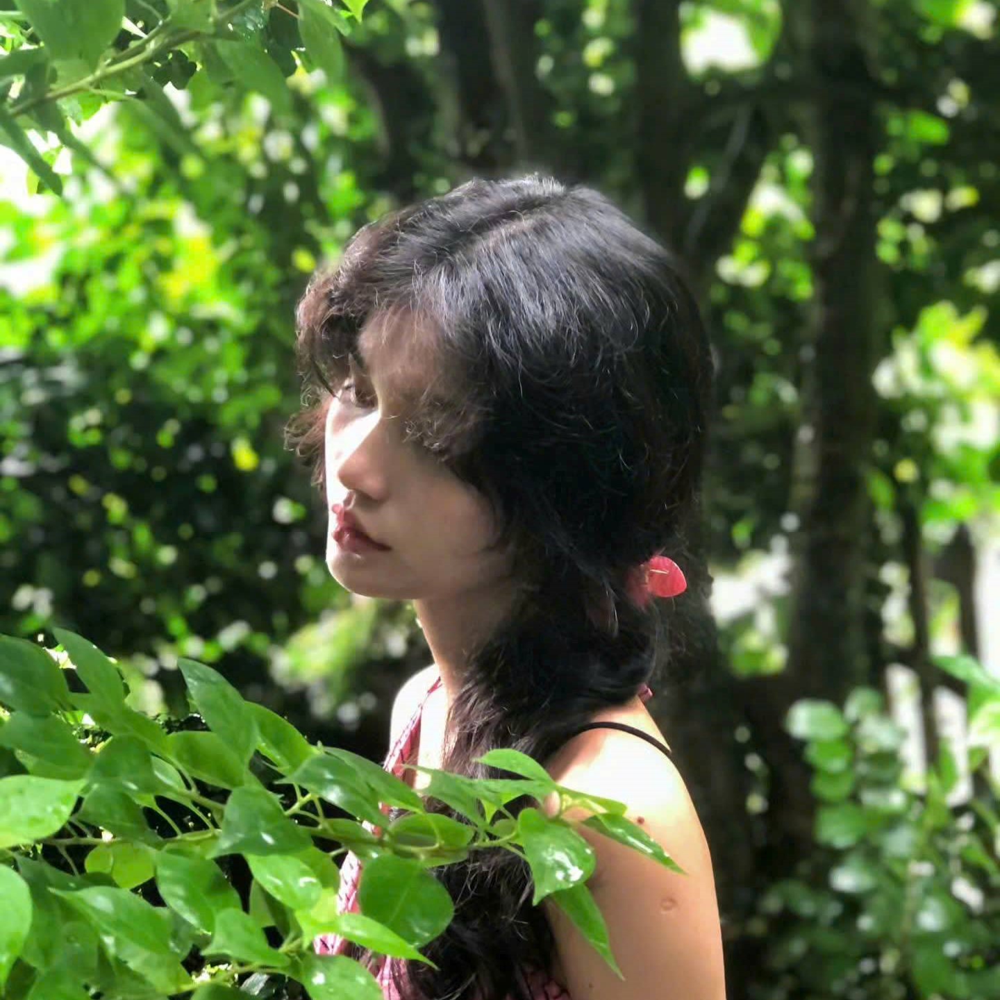 Album Cọp 41