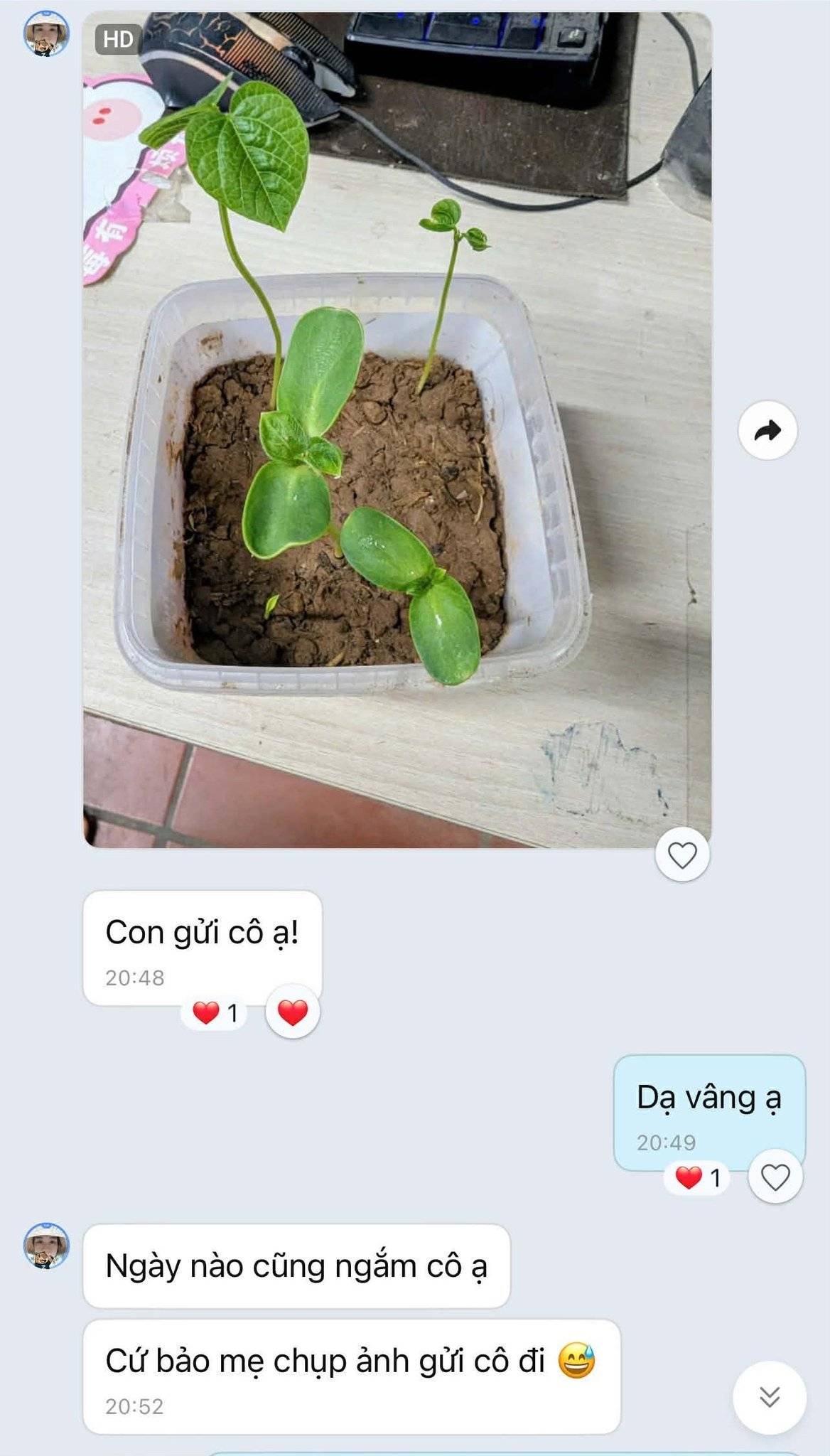 Khi Lì xì Hạt giống nảy mầm trên tay và trong tim học trò 6