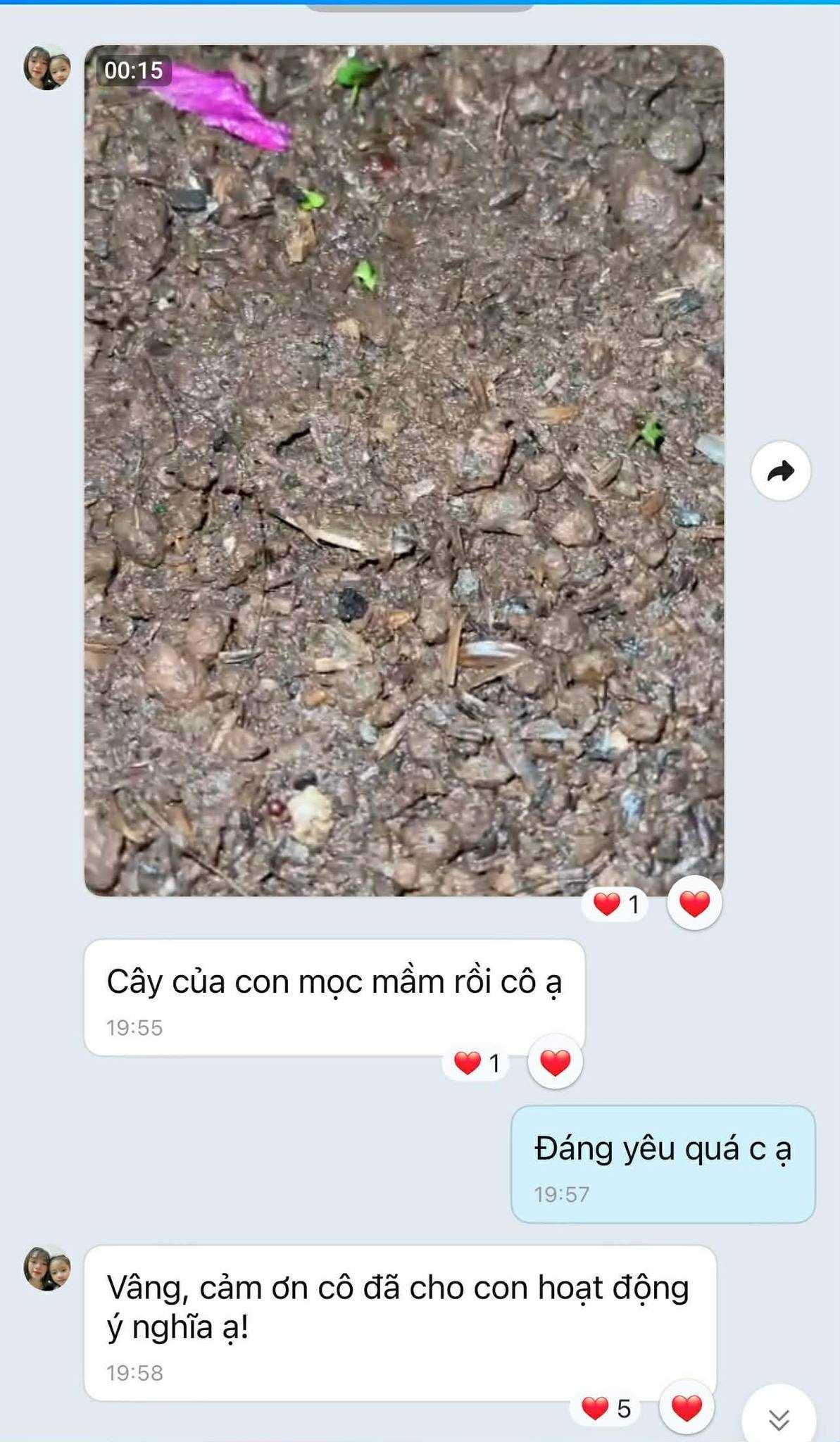 Khi Lì xì Hạt giống nảy mầm trên tay và trong tim học trò 5