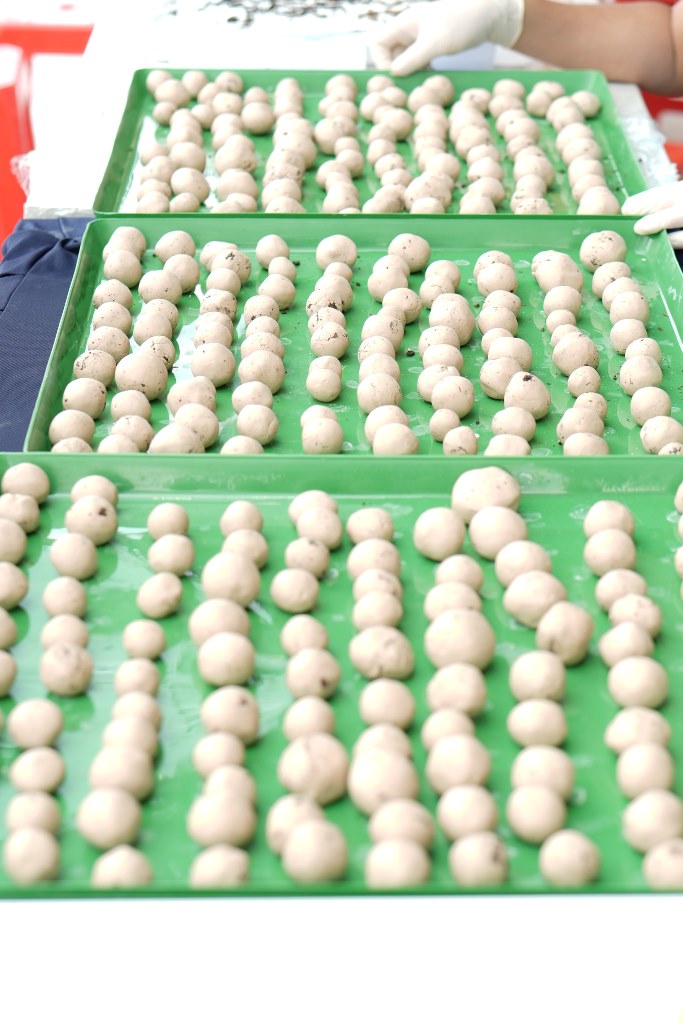 FPT X GIEO: Khi "Điều tử tế" được ươm vào Bom hạt giống bay xa khắp 3 miền 7