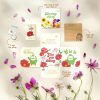 Phong bao hạt giống - Gieo tự hào - Hạt su hào 14 Phong bao hạt giống - Gieo tự hào - Hạt su hào 6